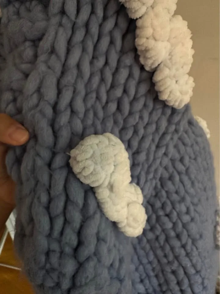 Heyays Chunky Knit Blue Cloud Cardigan image indicator(5)