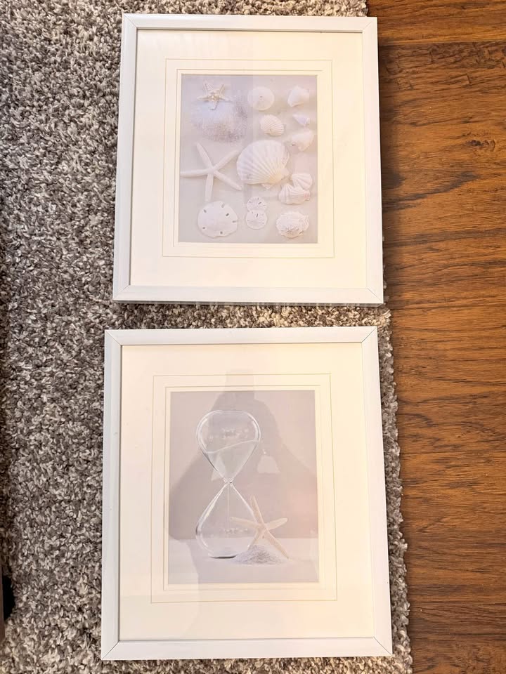 2 artwork (retail $20 each)