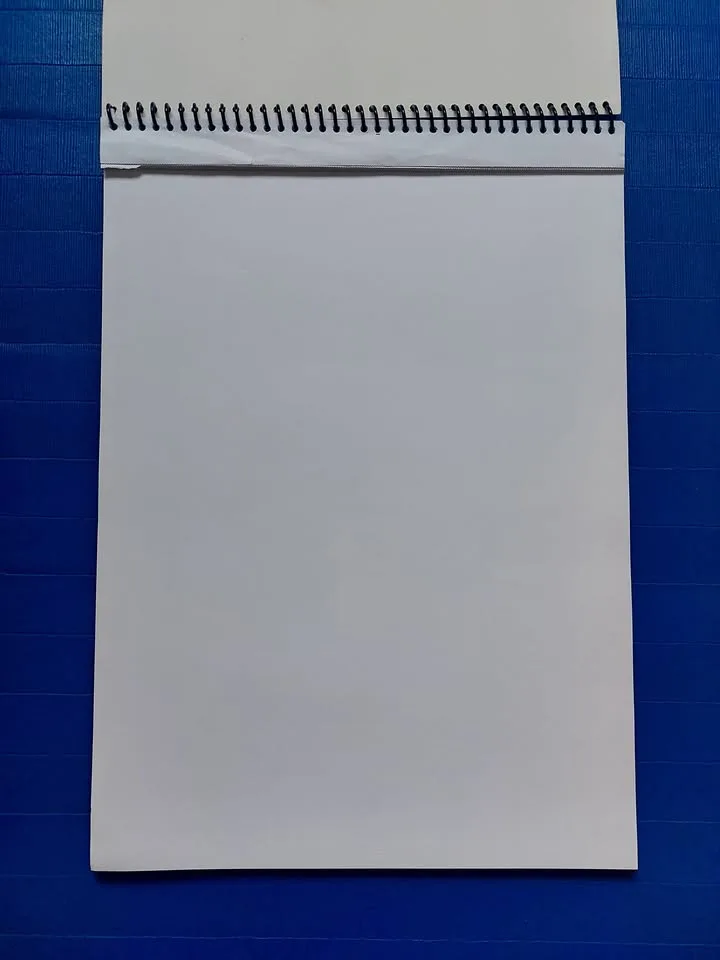 Crayola Signature Sketchbook (9x12”, 90gsm, 43 pages) image indicator(2)