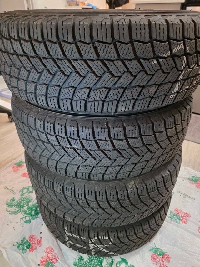 Michelin Tires 205/60 R16 X Ice Snow