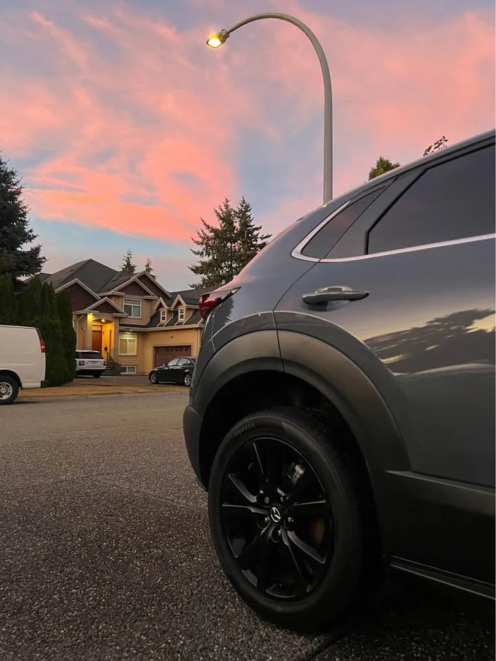 Professional Car Detailing image indicator(2)