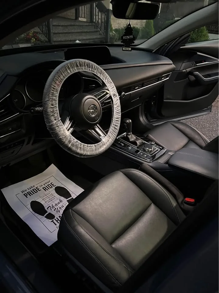 Professional Car Detailing image indicator(3)