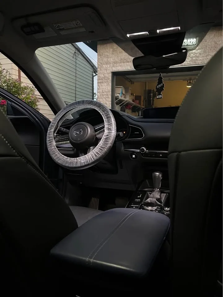 Professional Car Detailing image indicator(4)