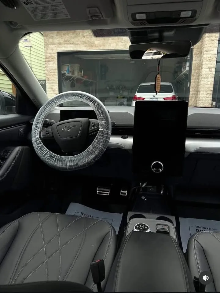 Professional Car Detailing image indicator(3)