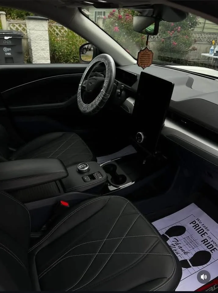 Professional Car Detailing image indicator(4)