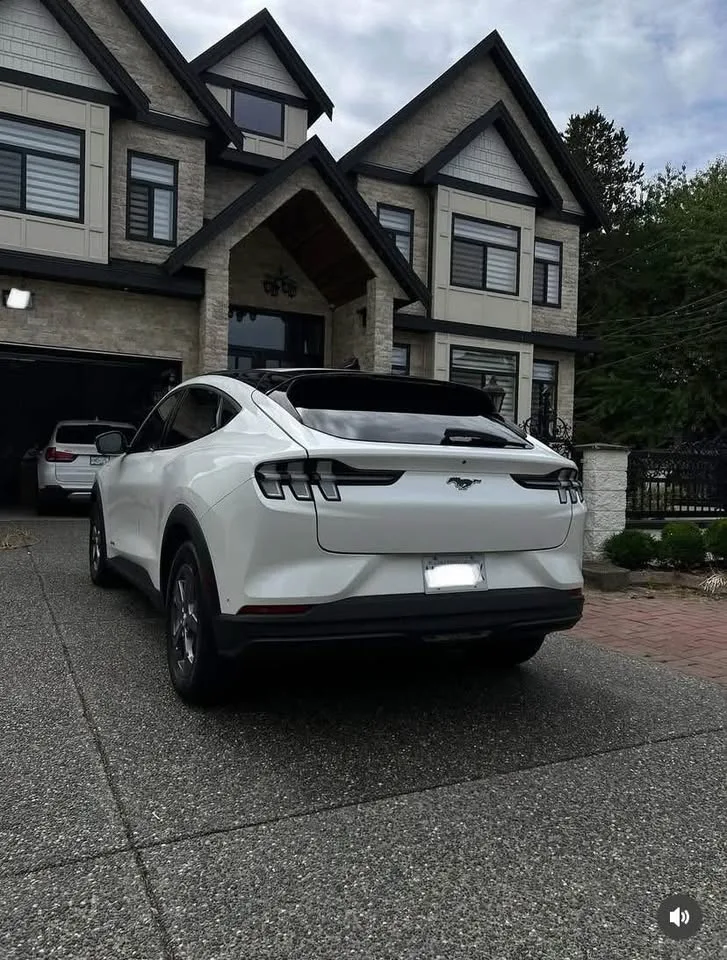 Professional Car Detailing image indicator(6)