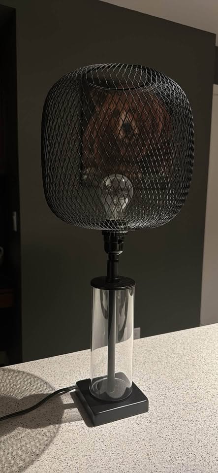 Table lamps set of 2 - photo 2