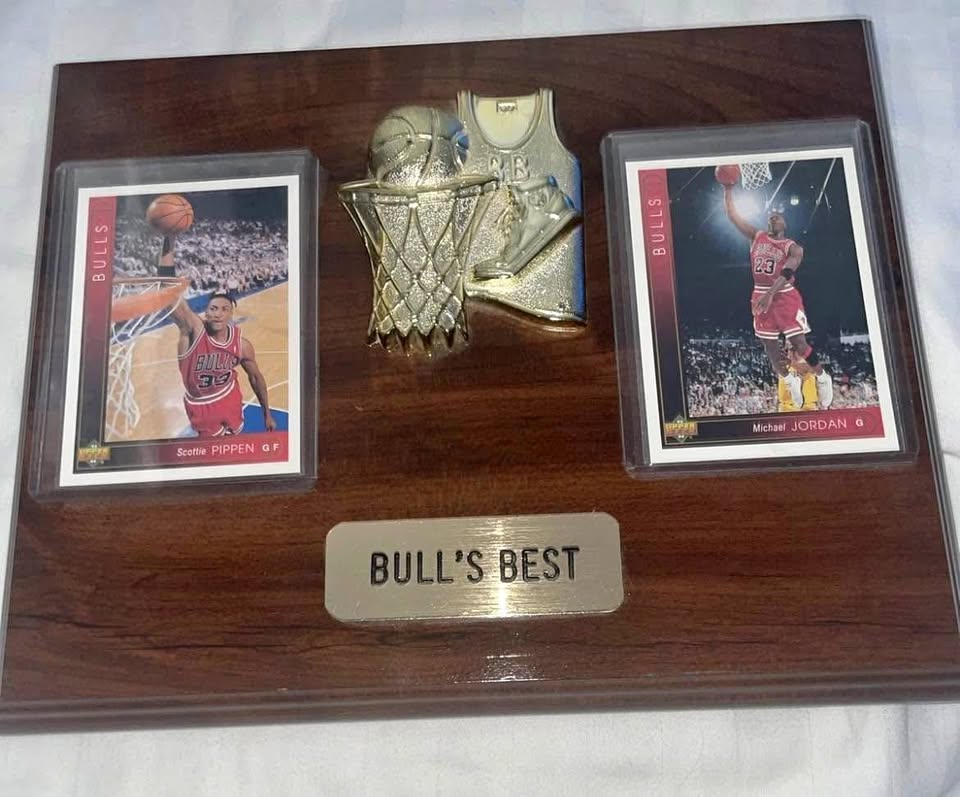 Bull’s Best 1990’s Plaque/Wall Art - Jordan and Pippen Cards 8x1