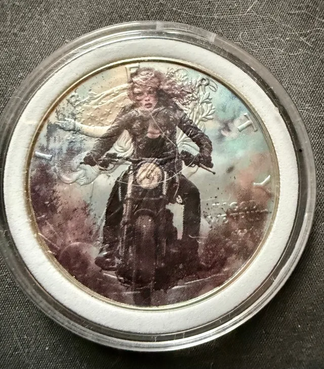 5 Taylor Swift Themed Walking Liberty 1 Oz Silver Coins image indicator(7)