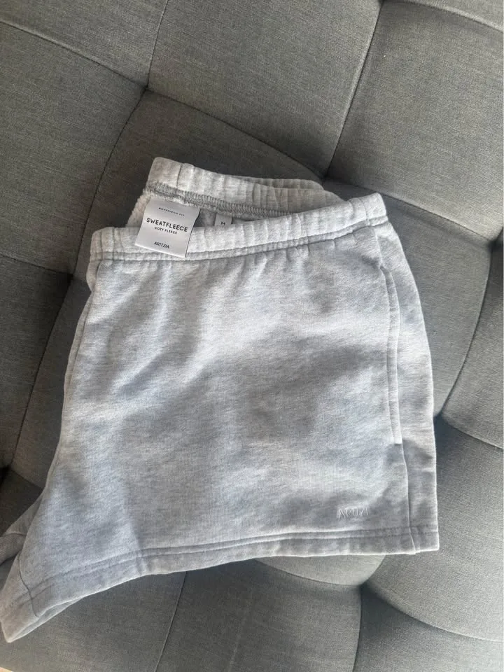 Aritzia Sweatfleece Shorts Grey M image indicator(3)