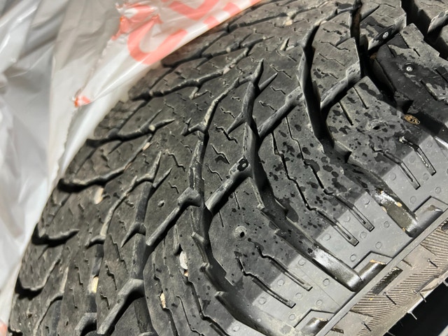 Nokian L3 Winter Tires - photo 3