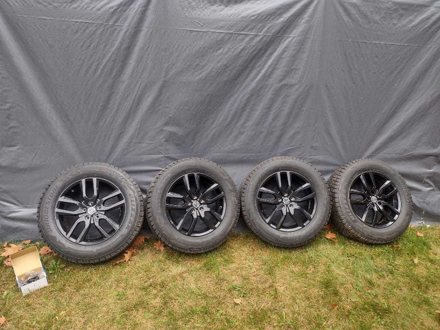 Ford Escape Winter Tires and Rims