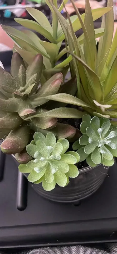 Office Desk Supplies/Decorations image indicator(5)