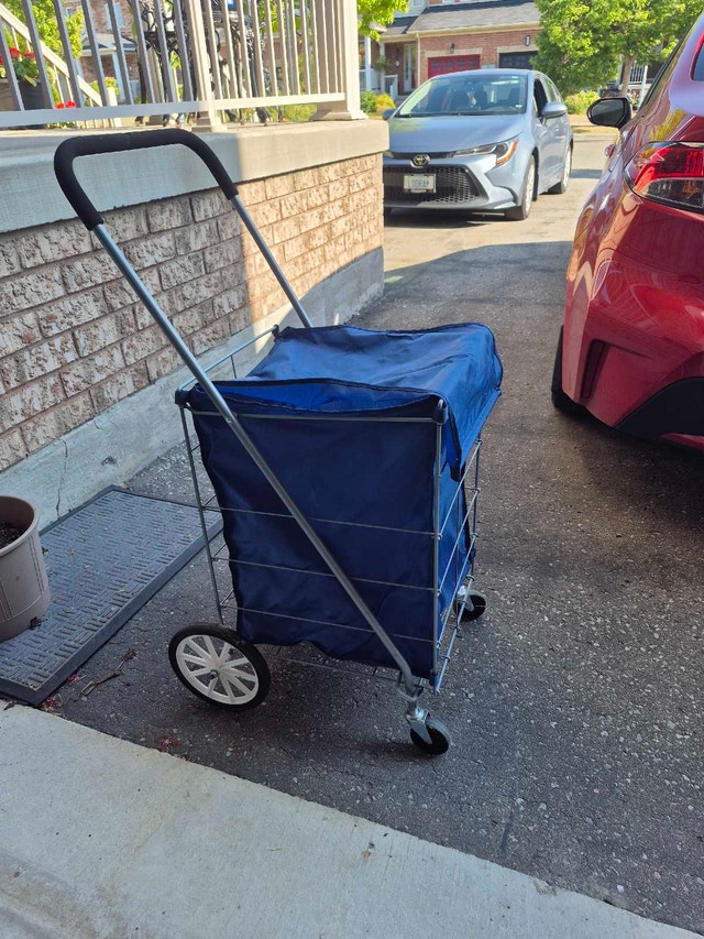 Foldable shopping cart with covered bag