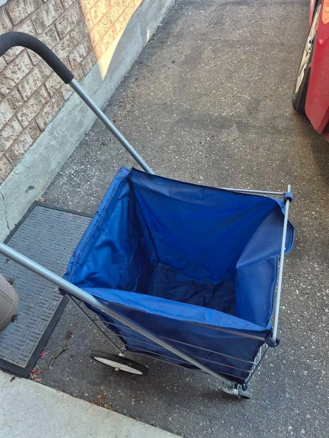 Foldable shopping cart with covered bag image indicator(2)