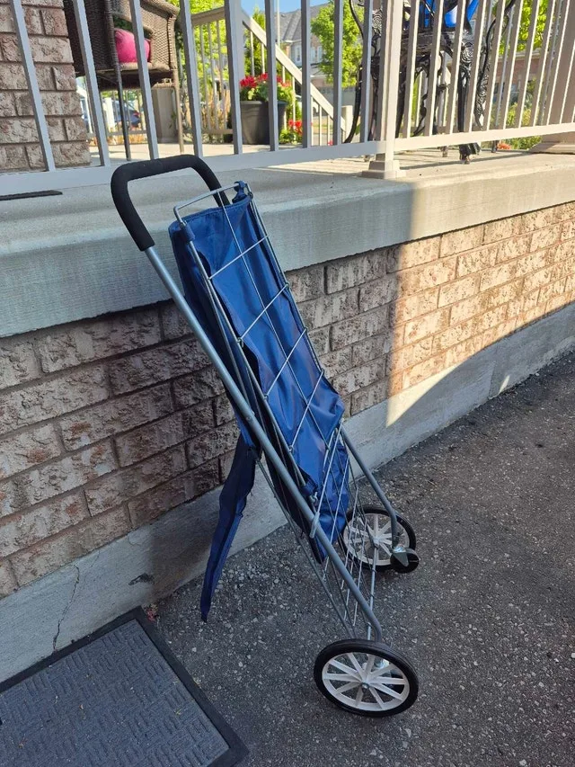 Foldable shopping cart with covered bag image indicator(3)