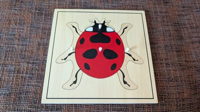 Ladybug Puzzle
