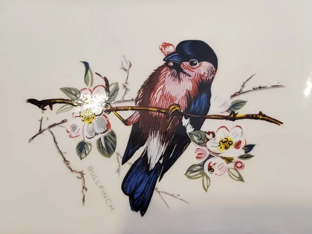 Little ceramic box - bird image indicator(2)