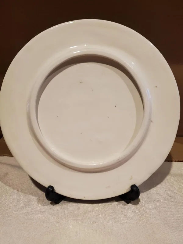 Colourful Plate - south/central American pattern image indicator(3)