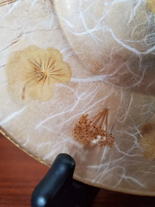 Interesting Small Plate image indicator(2)