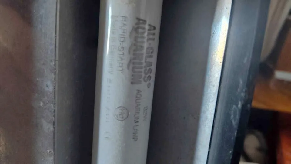 Giant Aquarium Light