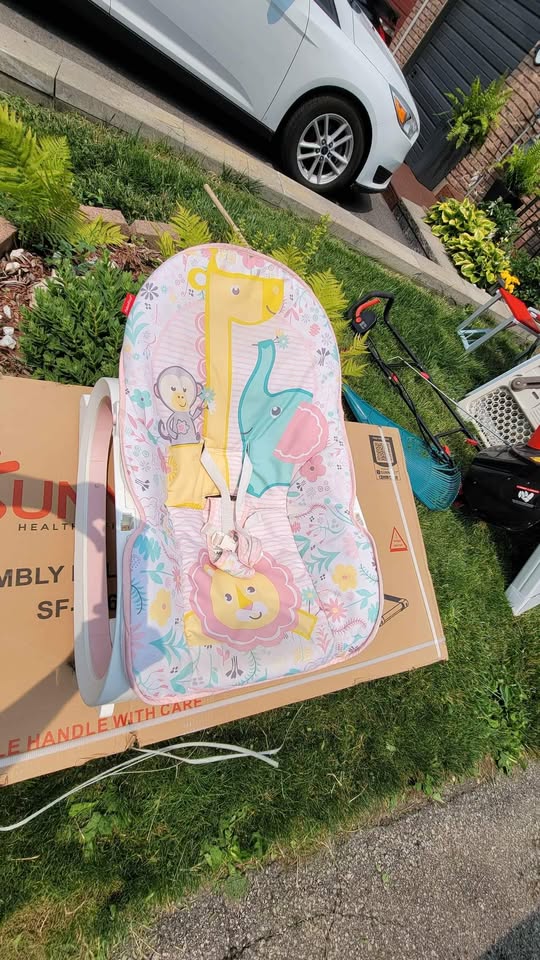 Fisher Price Baby Rocker - photo 2