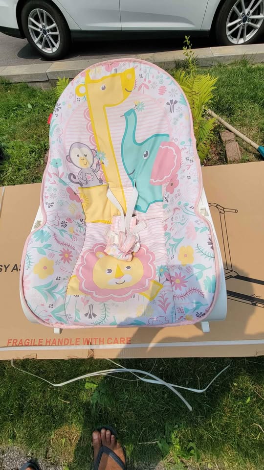 Fisher Price Baby Rocker - photo 3