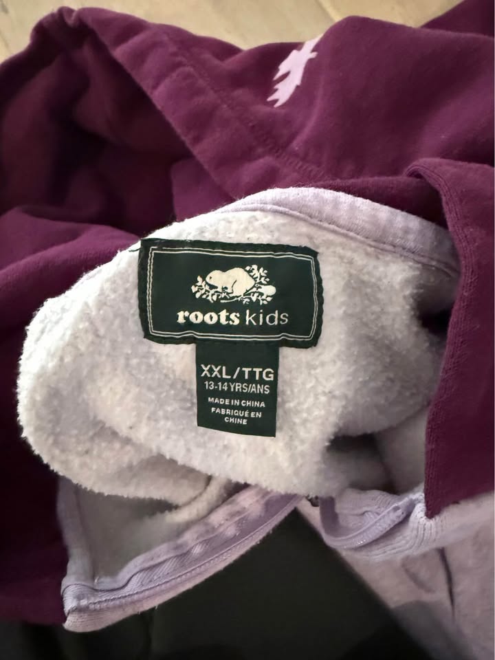 Roots hoodie eagles pant Zara long top - photo 2
