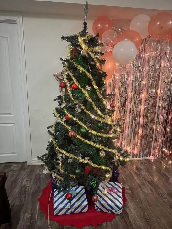 New Christmas decoration tinsel garland lights image indicator(3)