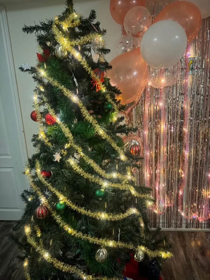 New Christmas decoration tinsel garland lights image indicator(10)