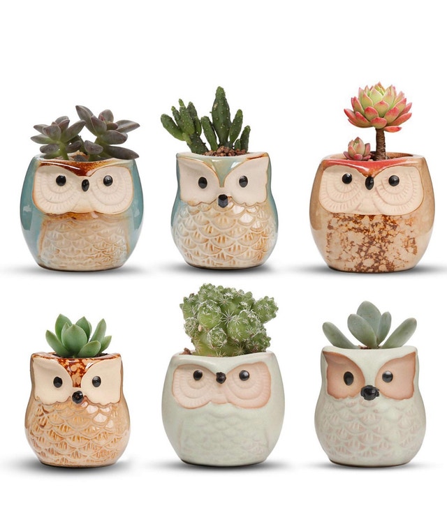 Set of Ceramic Owl Planters - photo 5