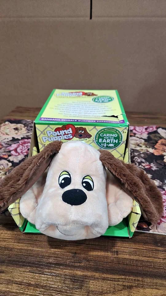 POUND PUPPIES