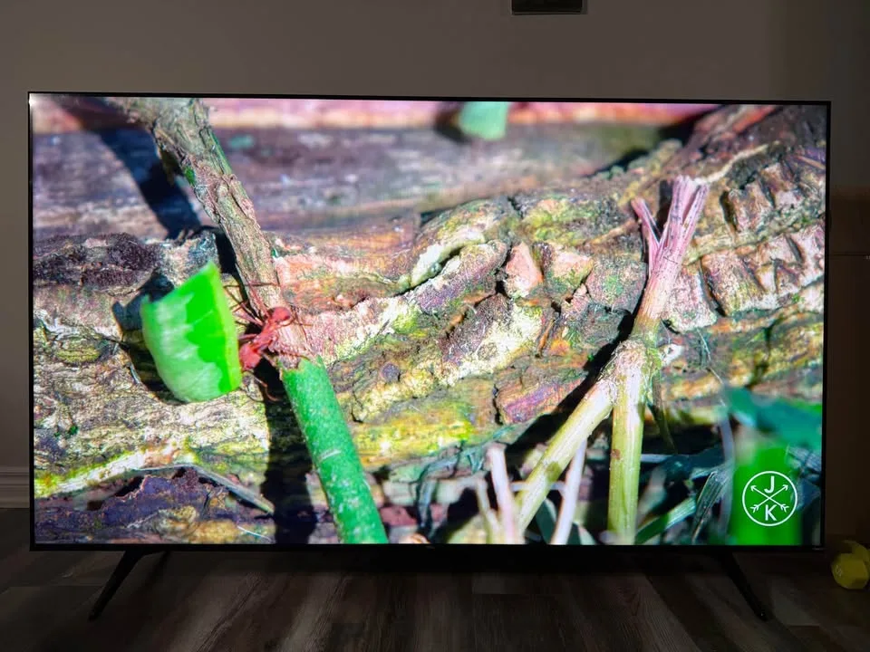 TCL 75” 4K UHD PRO ROKU SMART TV image indicator(5)