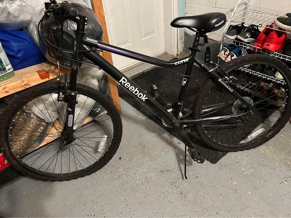 Reebok Mountain Bike