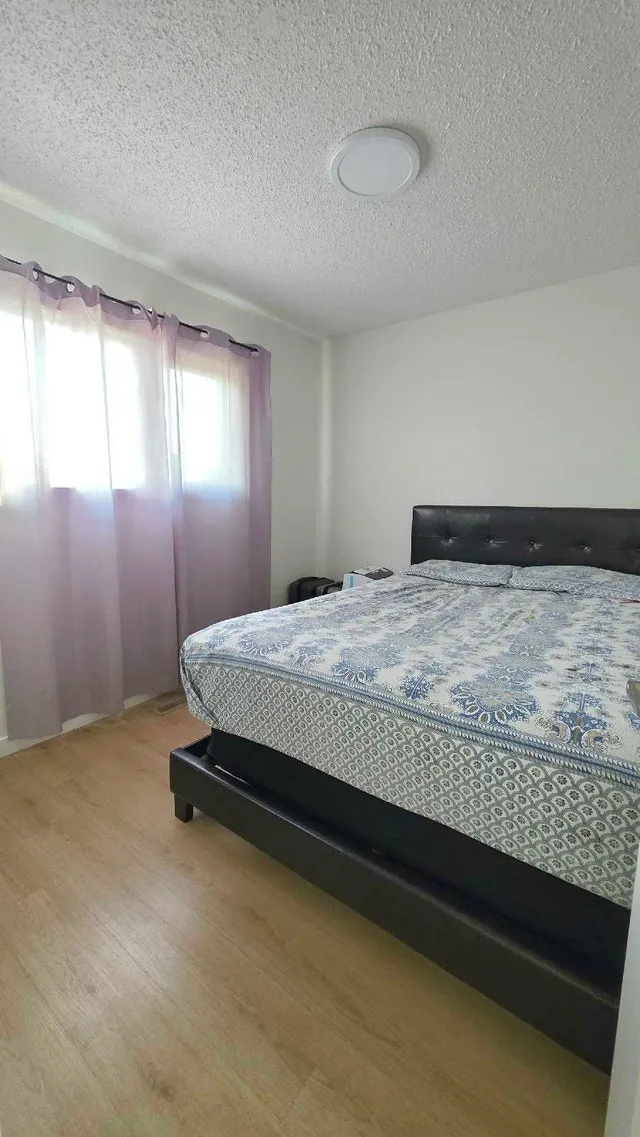 3 Bedrooms 1 Bathroom House for Rent image indicator(6)