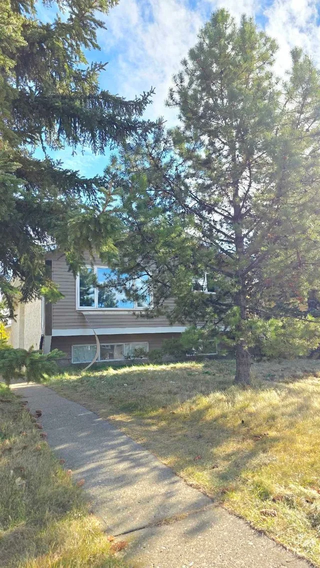 3 Bedrooms 1 Bathroom House for Rent image indicator(9)