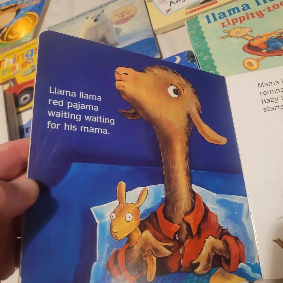 20+ Hardcover Toddler Books image indicator(6)