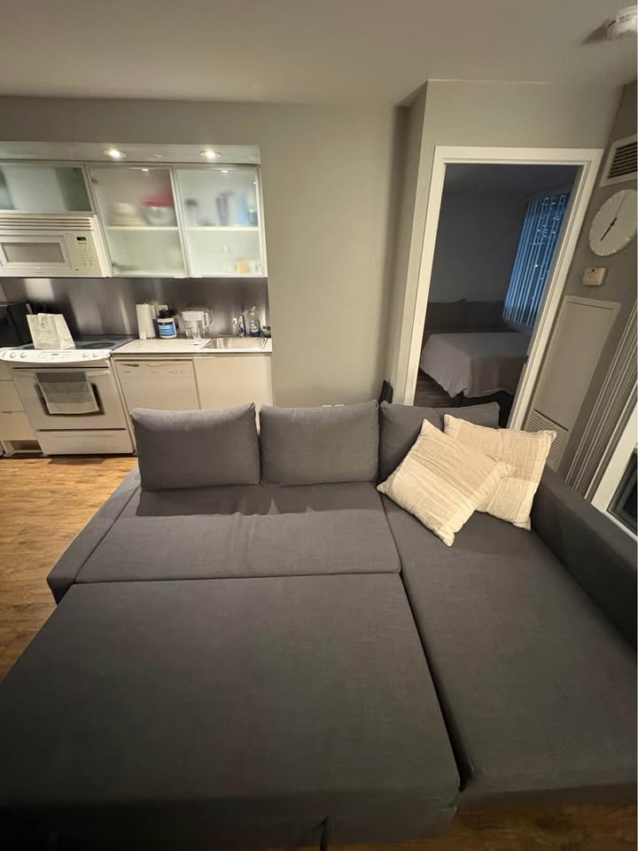 IKEA grey Friheten Sofa Bed sectional couch (delivery available) - photo 3