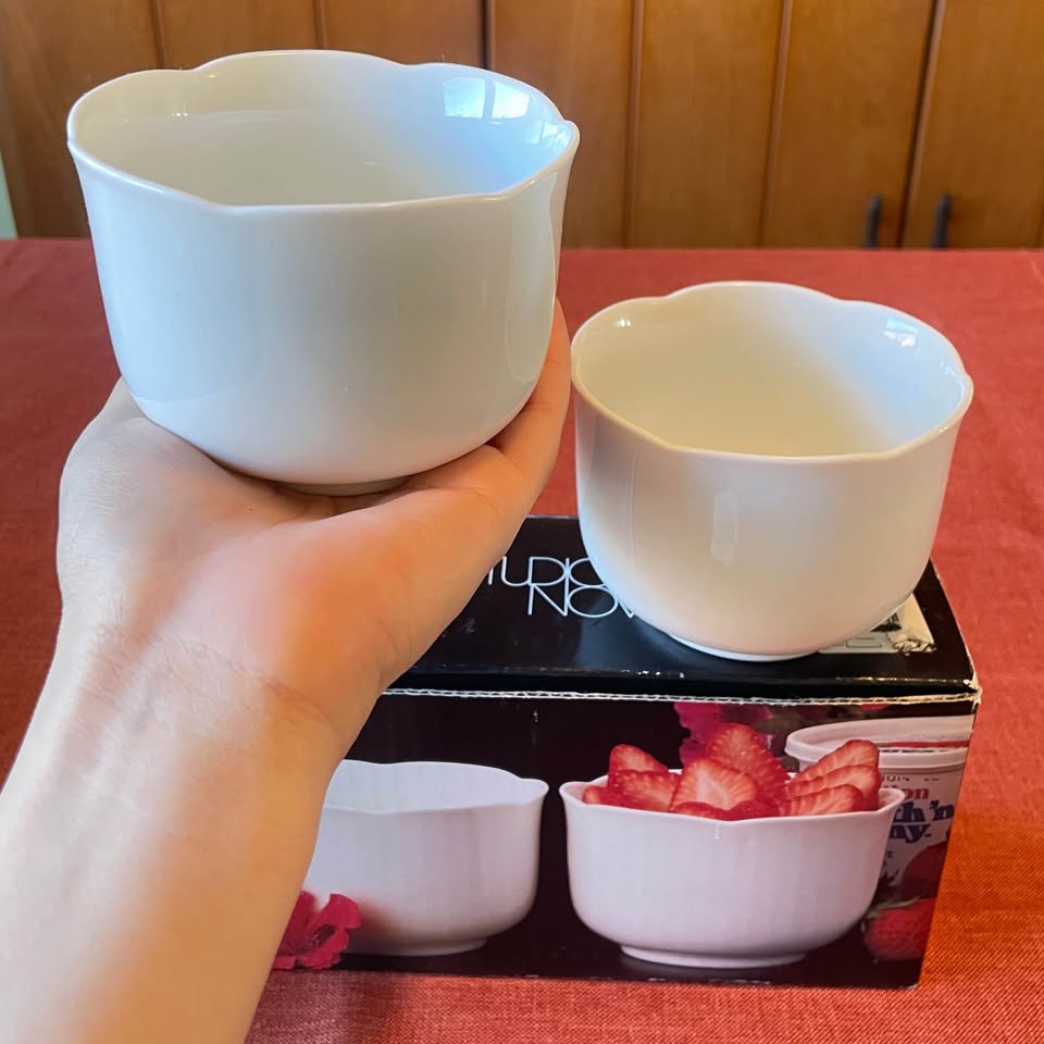 NEW✨Set of 2 White Ceramic Bowls Set - photo 2