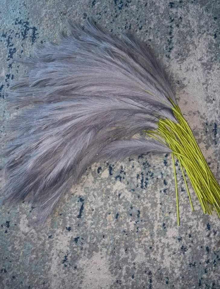 New Pampas grass 38 stems image indicator(3)