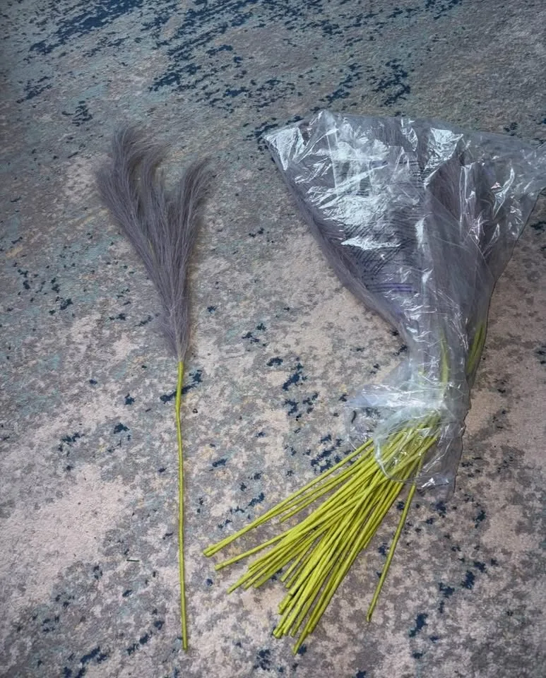 New Pampas grass 38 stems image indicator(4)