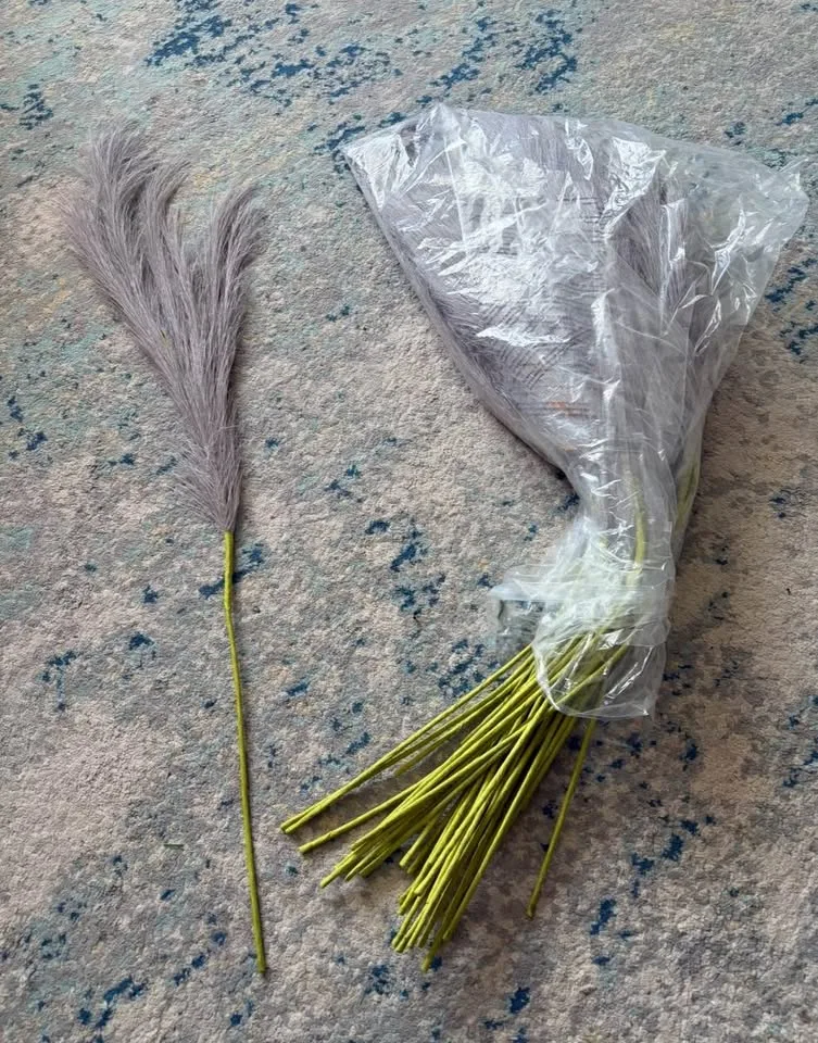 New Pampas grass 38 stems image indicator(5)