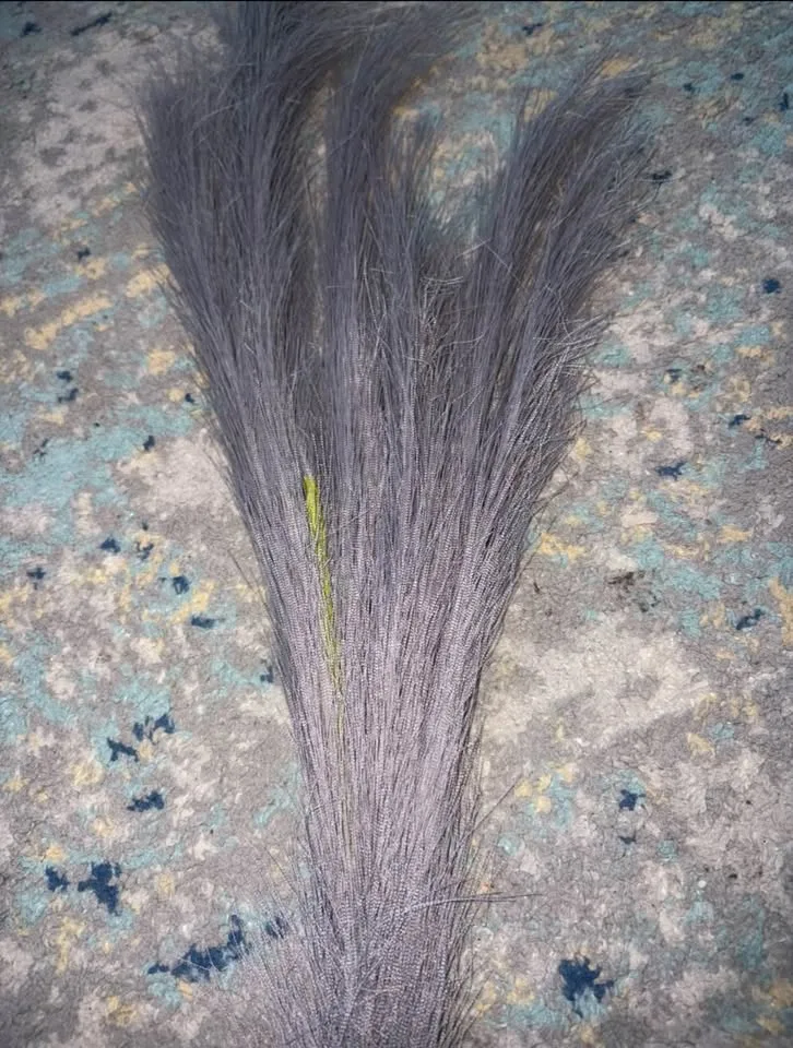 New Pampas grass 38 stems image indicator(6)