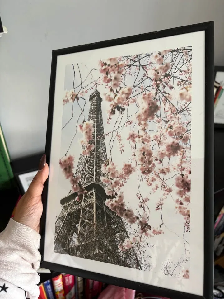 Set of Paris/Peony prints image indicator(4)