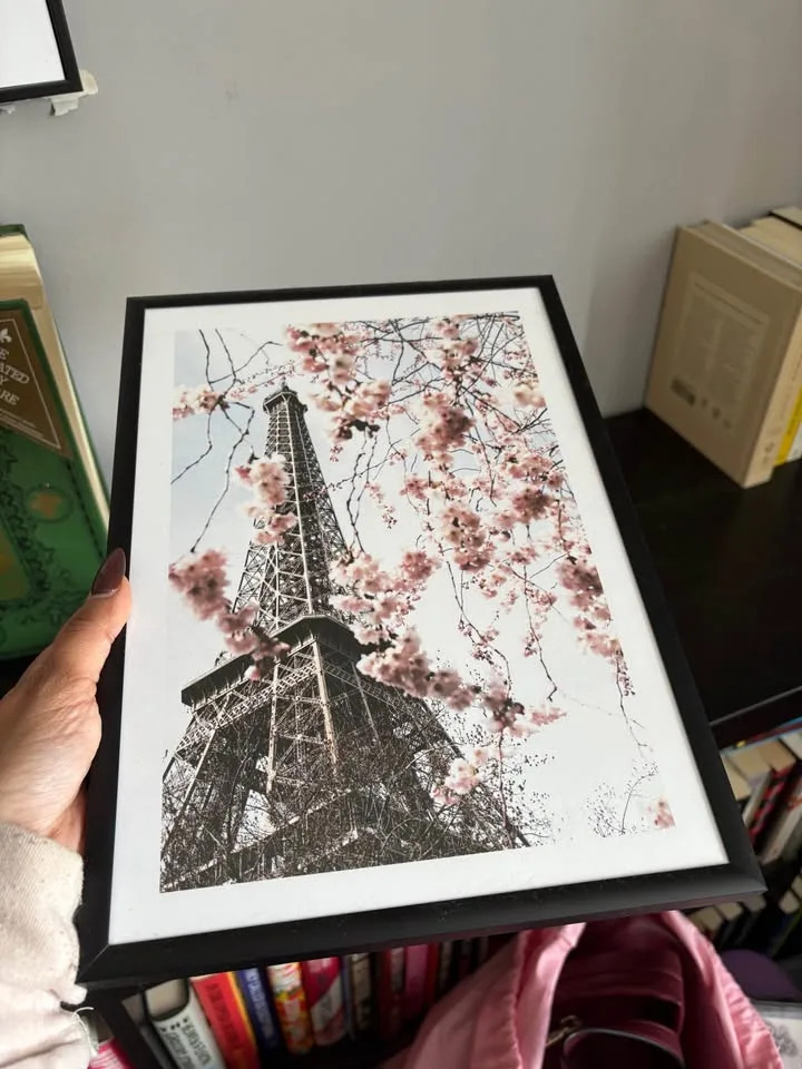 Set of Paris/Peony prints image indicator(5)