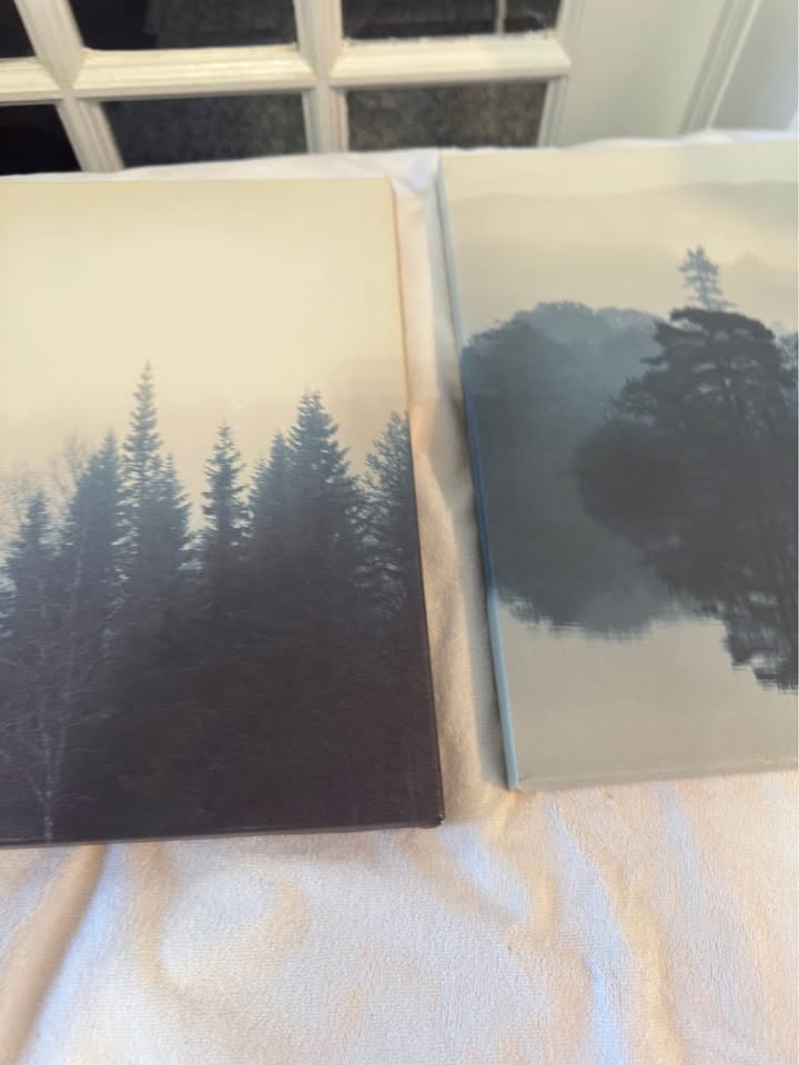 Art canvas (3 peices) $20 for all 3 - photo 2