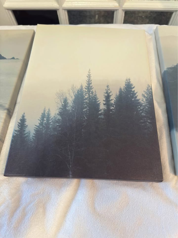 Art canvas (3 peices) $20 for all 3 - photo 3