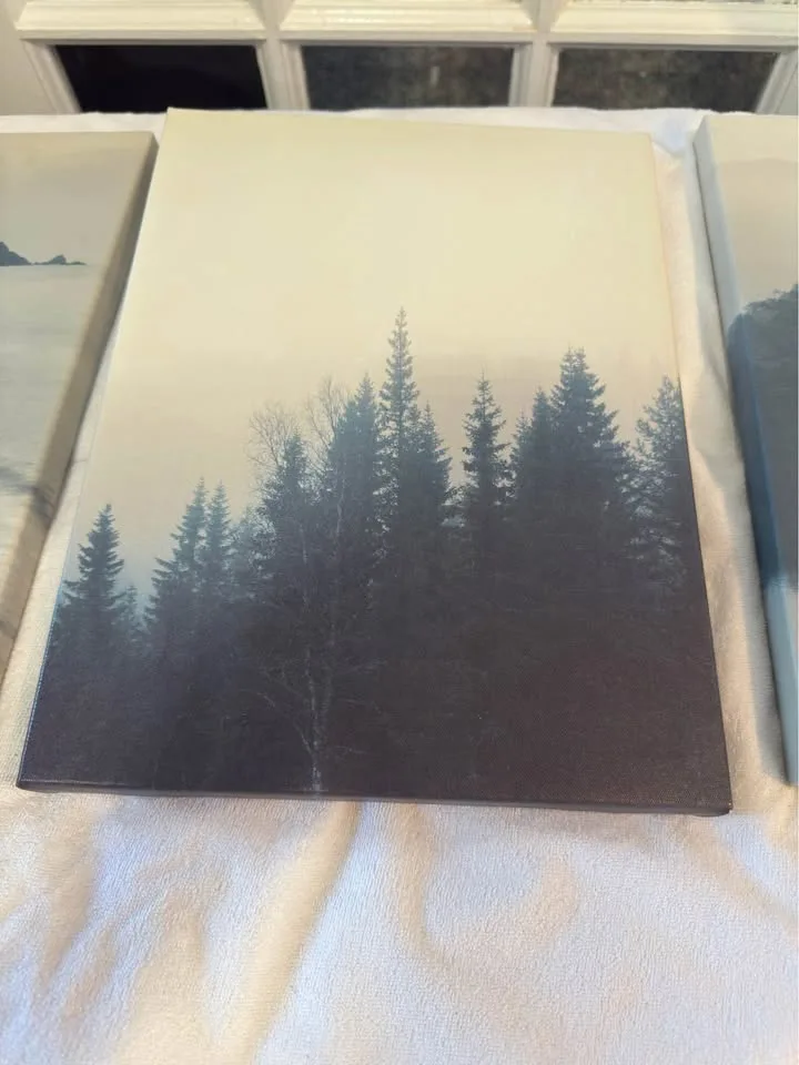 Art canvas (3 peices) $20 for all 3 image indicator(3)