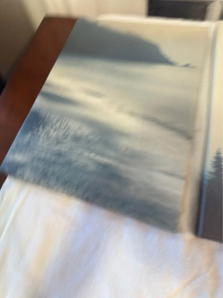 Art canvas (3 peices) $20 for all 3 image indicator(4)