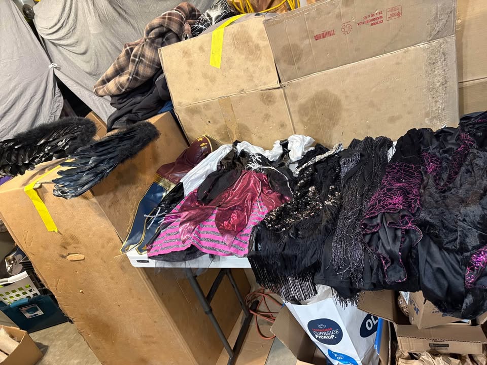 Garage Sale! Sun Nov 16/25 8:30-2:30 152 Martha’s Meadow NE - photo 2